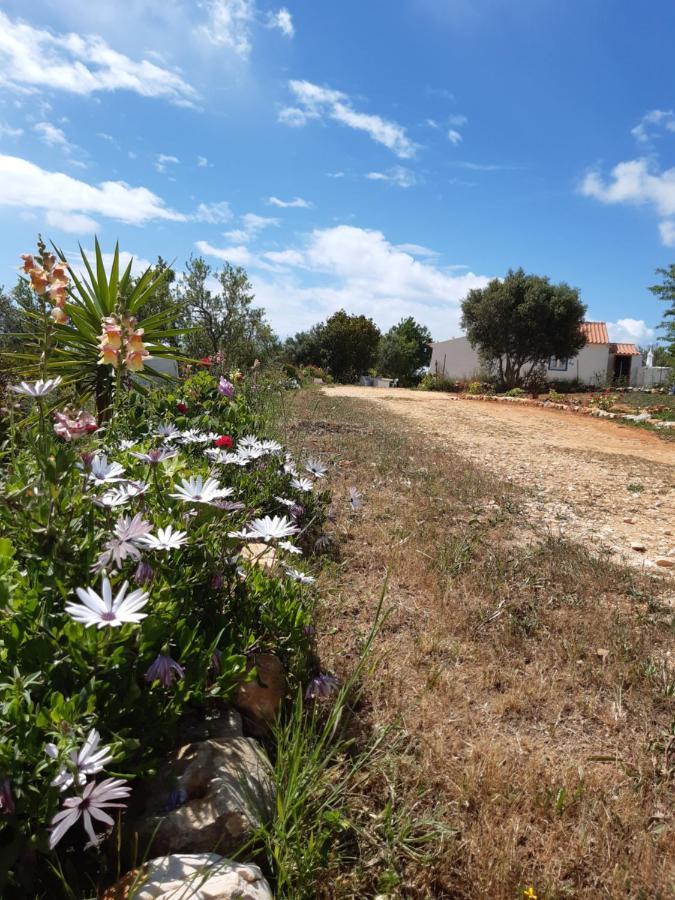 Apartmán Quinta Da Jolanda-Happy Family Farm Lagos Exteriér fotografie